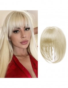 Breton cu Calota Blond...