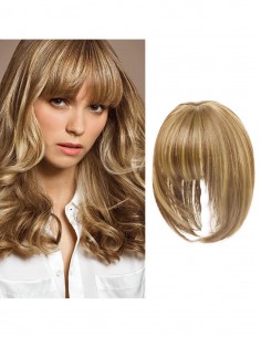 Breton cu Calota Blond...