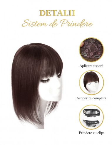 Breton cu Calota Mahon Rosu Inchis J99