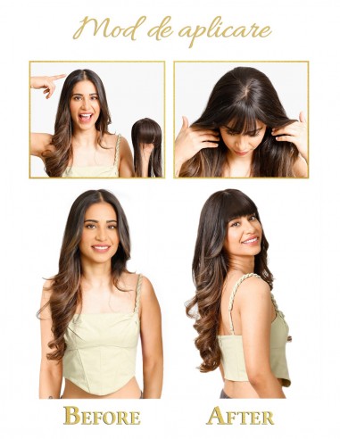 Breton cu Calota Mahon Rosu Inchis J99