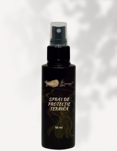 Spray de Protectie Termica 2