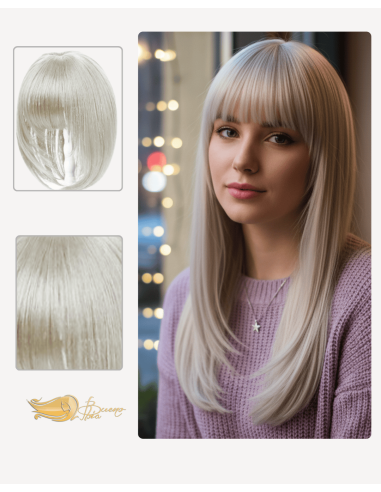 Breton cu Calota Gray